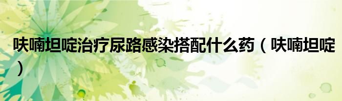 呋喃坦啶治疗尿路感染搭配什么药（呋喃坦啶）