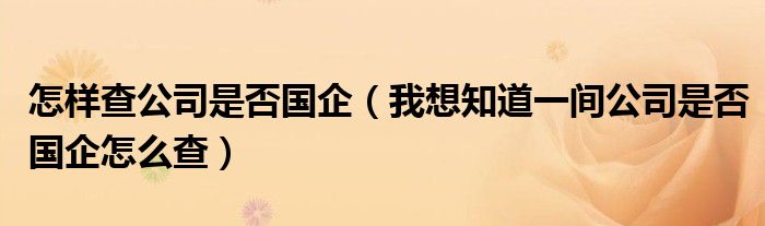 怎样查公司是否国企（我想知道一间公司是否国企怎么查）
