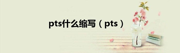 pts什么缩写（pts）