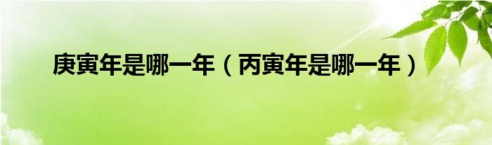 庚寅年是哪一年（丙寅年是哪一年）