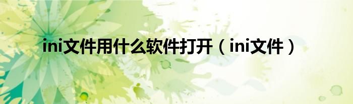 ini文件用什么软件打开（ini文件）