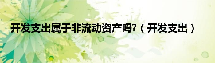 开发支出属于非流动资产吗?（开发支出）