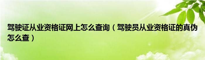 驾驶证从业资格证网上怎么查询（驾驶员从业资格证的真伪怎么查）