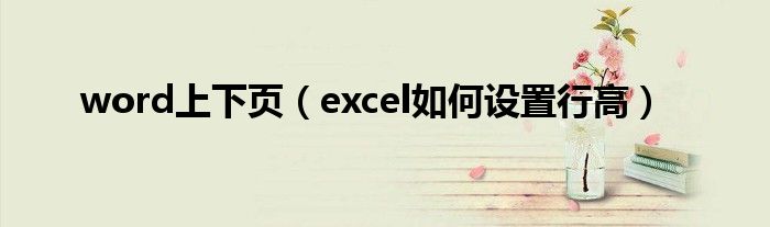 word上下页（excel如何设置行高）