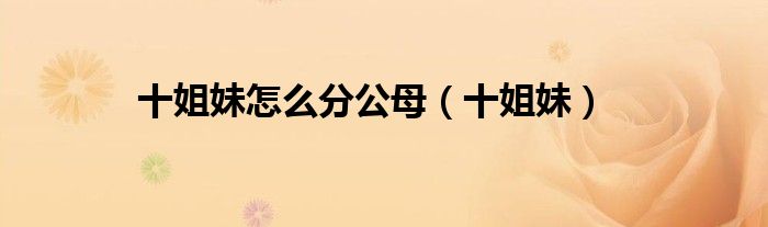 十姐妹怎么分公母（十姐妹）