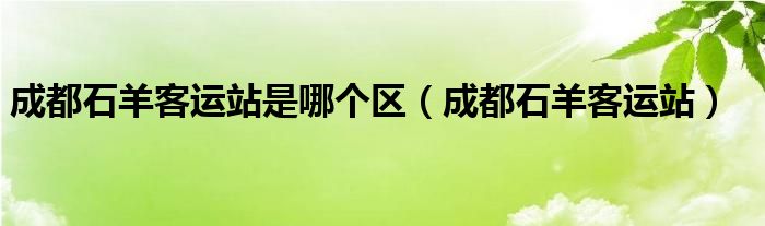 成都石羊客运站是哪个区（成都石羊客运站）