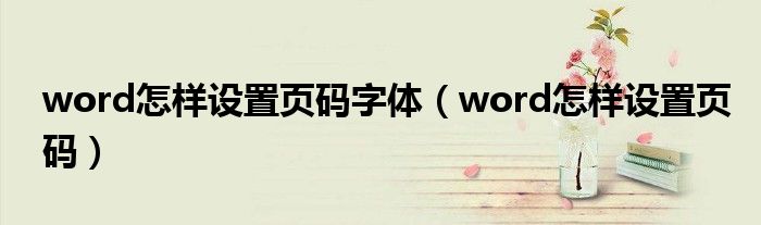 word怎样设置页码字体（word怎样设置页码）
