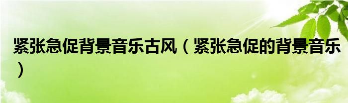 紧张急促背景音乐古风（紧张急促的背景音乐）