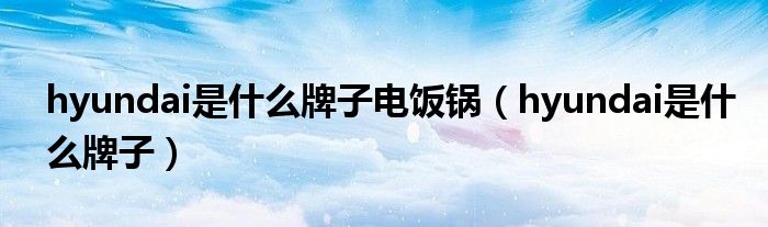 hyundai是什么牌子电饭锅（hyundai是什么牌子）