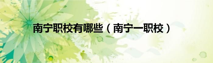 南宁职校有哪些（南宁一职校）