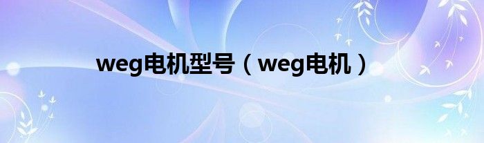 weg电机型号（weg电机）