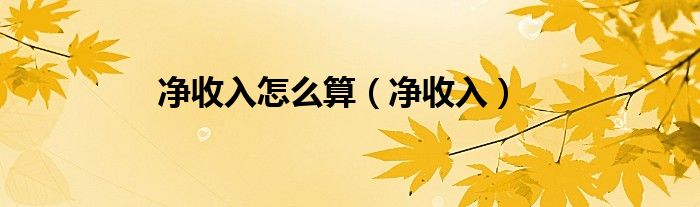 净收入怎么算（净收入）