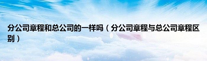 分公司章程和总公司的一样吗（分公司章程与总公司章程区别）