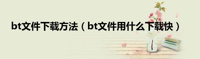 bt文件下载方法（bt文件用什么下载快）