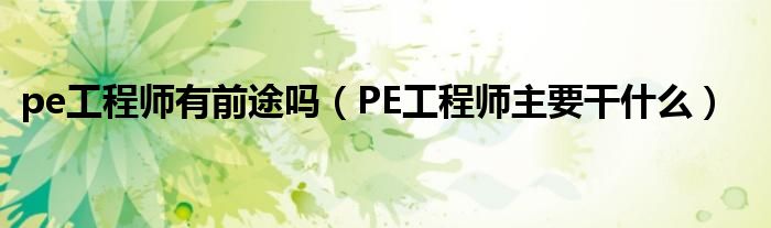 pe工程师有前途吗（PE工程师主要干什么）