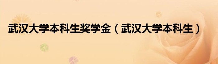 武汉大学本科生奖学金（武汉大学本科生）