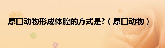 原口动物形成体腔的方式是?（原口动物）