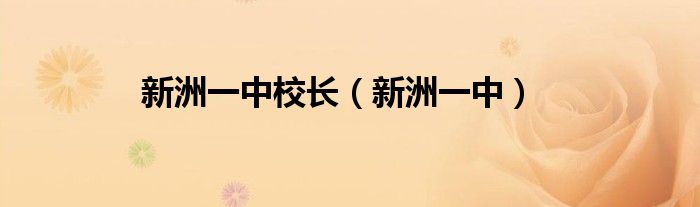 新洲一中校长（新洲一中）