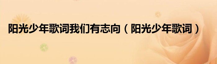 阳光少年歌词我们有志向（阳光少年歌词）
