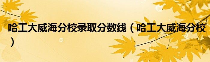 哈工大威海分校录取分数线（哈工大威海分校）