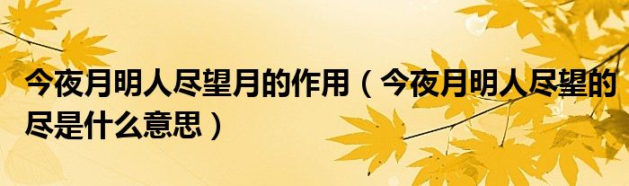 今夜月明人尽望月的作用（今夜月明人尽望的尽是什么意思）