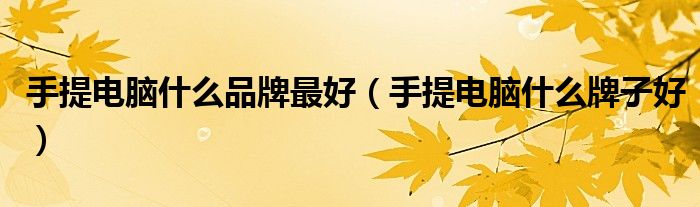 手提电脑什么品牌最好（手提电脑什么牌子好）