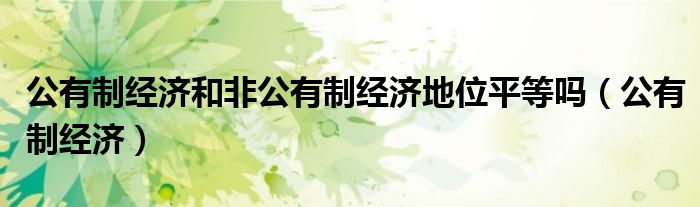 公有制经济和非公有制经济地位平等吗（公有制经济）