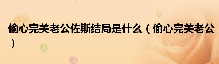 偷心完美老公佐斯结局是什么（偷心完美老公）