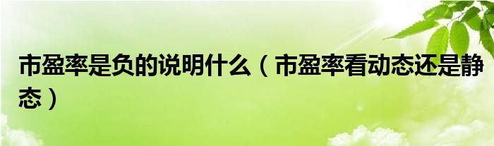 市盈率是负的说明什么（市盈率看动态还是静态）