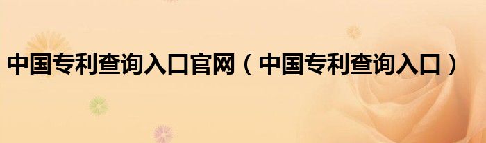 中国专利查询入口官网（中国专利查询入口）