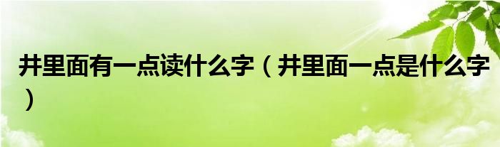 井里面有一点读什么字（井里面一点是什么字）