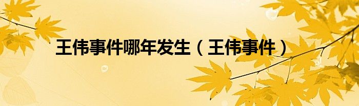 王伟事件哪年发生（王伟事件）
