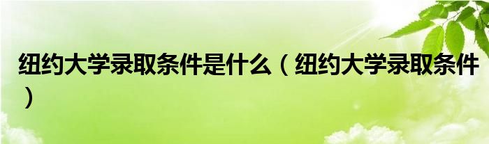 纽约大学录取条件是什么（纽约大学录取条件）