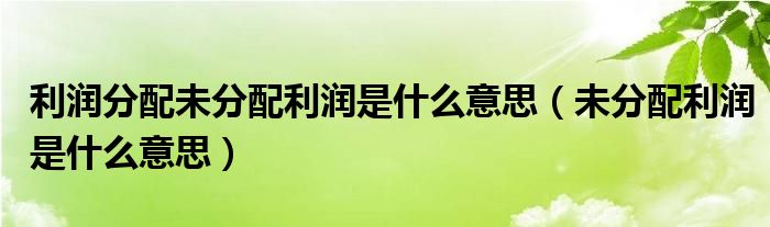 利润分配未分配利润是什么意思（未分配利润是什么意思）