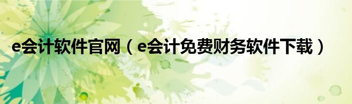 e会计软件官网（e会计免费财务软件下载）