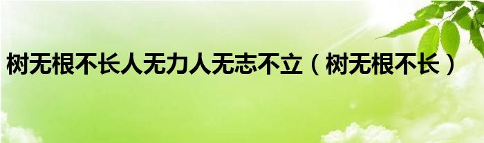 树无根不长人无力人无志不立（树无根不长）