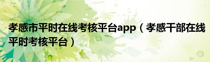 孝感市平时在线考核平台app（孝感干部在线平时考核平台）