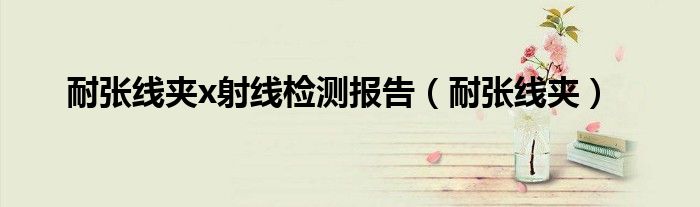 耐张线夹x射线检测报告（耐张线夹）