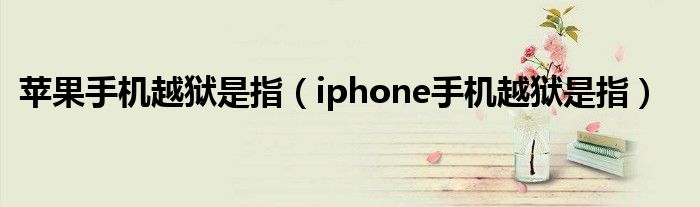 苹果手机越狱是指（iphone手机越狱是指）