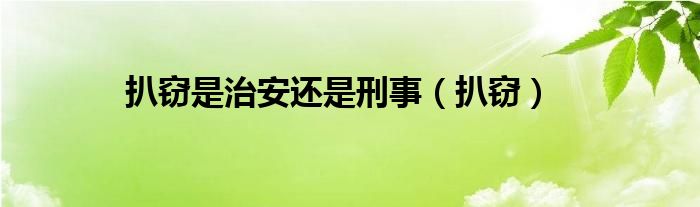 扒窃是治安还是刑事（扒窃）