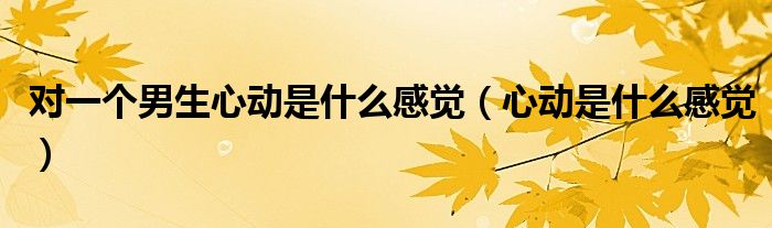 对一个男生心动是什么感觉（心动是什么感觉）