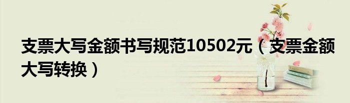 支票大写金额书写规范10502元（支票金额大写转换）