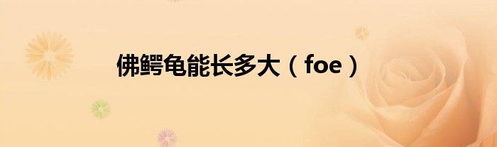 佛鳄龟能长多大（foe）
