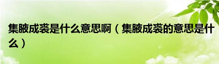 集腋成裘是什么意思啊（集腋成裘的意思是什么）