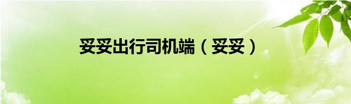 妥妥出行司机端（妥妥）