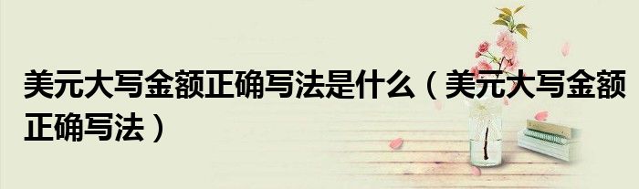 美元大写金额正确写法是什么（美元大写金额正确写法）