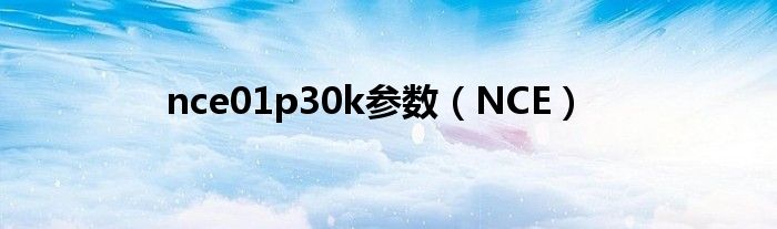 nce01p30k参数（NCE）