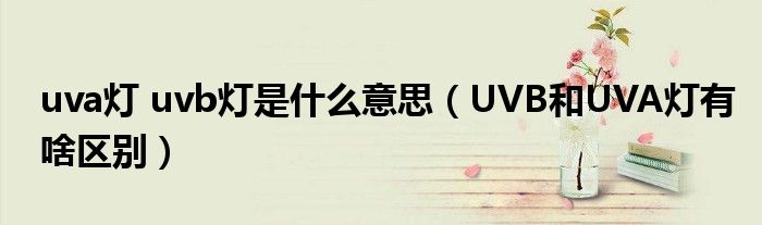 uva灯 uvb灯是什么意思（UVB和UVA灯有啥区别）
