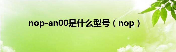 nop-an00是什么型号（nop）