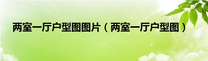 两室一厅户型图图片（两室一厅户型图）